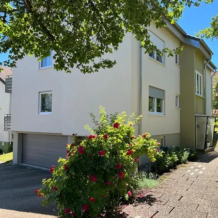 Schwarzwald Steffanie